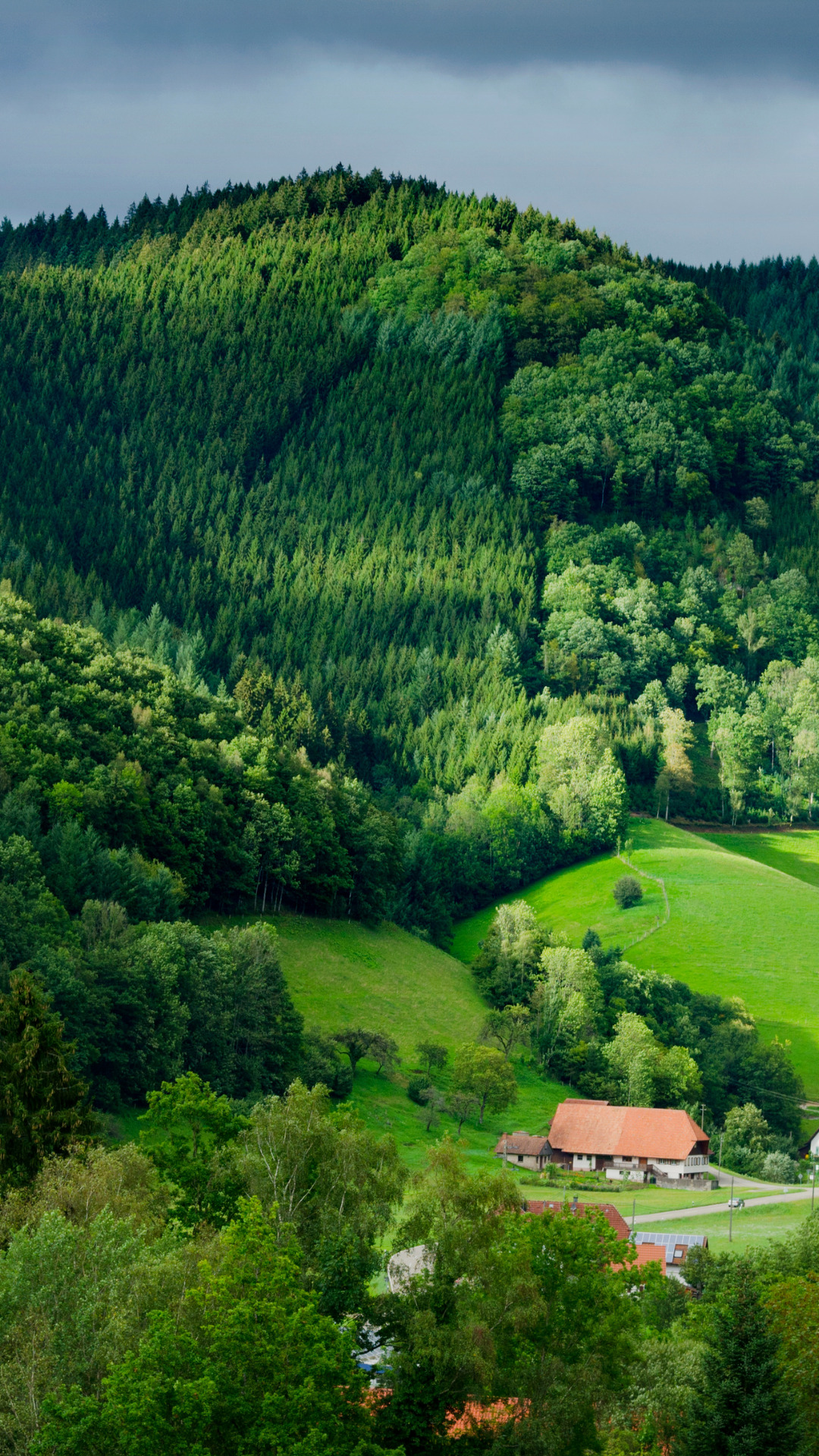Black Forest: Visiter l’Allemagne : 9 lieux incontournables à découvrir du nord au sud